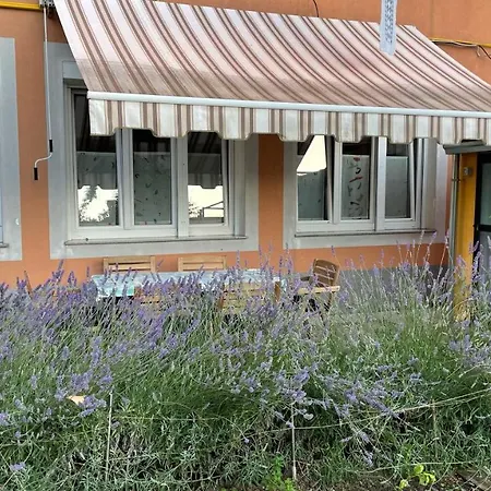 Rikorvo * Izola